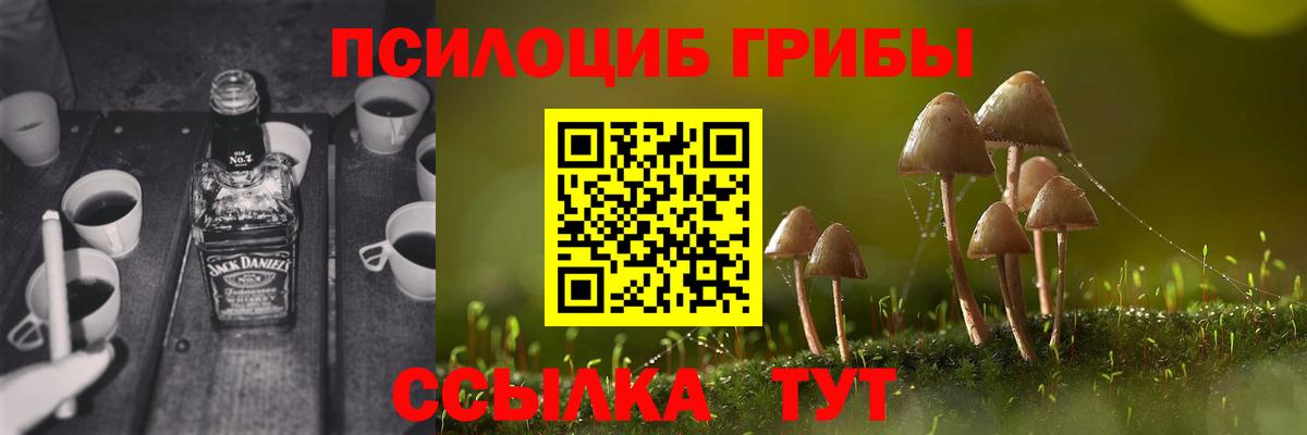 Псилоцибиновые грибы GOLDEN TEACHER  Псилоцибиновые грибы Psilocybe  Вход с VPN  Кашира 